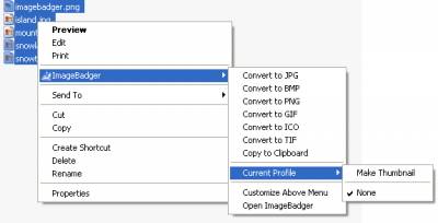 Screenshot of the application ImageBadger - #2