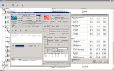 Screenshot of the application HWiNFO - #4