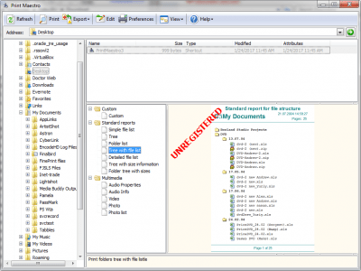 Screenshot of the application Print Maestro - #2