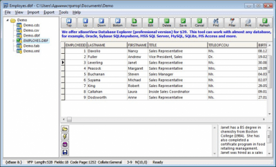 Screenshot of the application Free DBF Viewer - #2