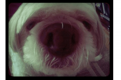 Screenshot of the application FishEye Camera - #2