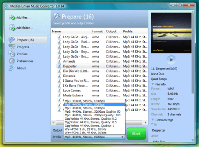 Screenshot of the application Music Converter - #2