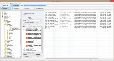 Screenshot of the application Flexible Renamer - #2