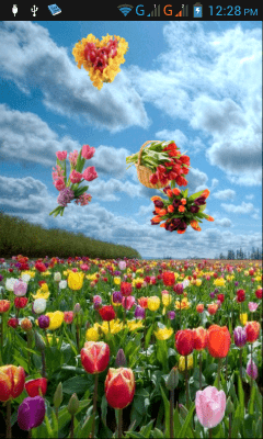 Screenshot of the application Tulips - #7