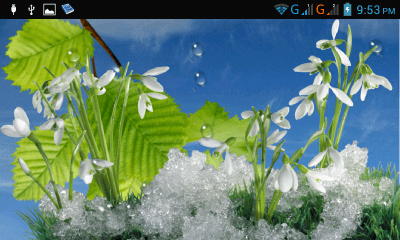 Screenshot of the application Spring - #6