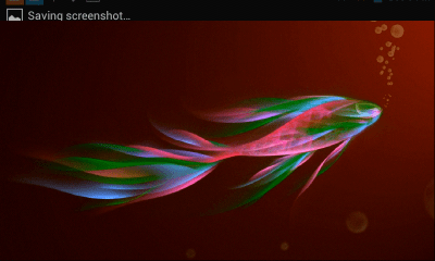 Screenshot of the application Golden fish - #2