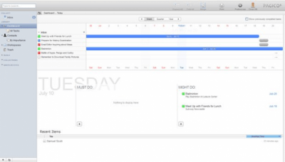 Screenshot of the application Pagico - #2