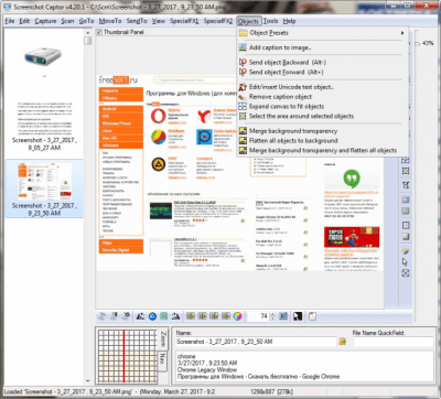 Screenshot of the application Screenshot Captor Portable - #4