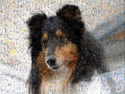 Screenshot of the application Foto-Mosaik-Edda - #8