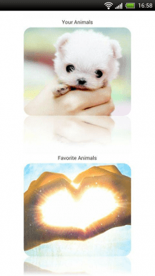 Screenshot of the application Cute animals - #2