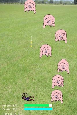 Screenshot of the application Hog Hunter - #2