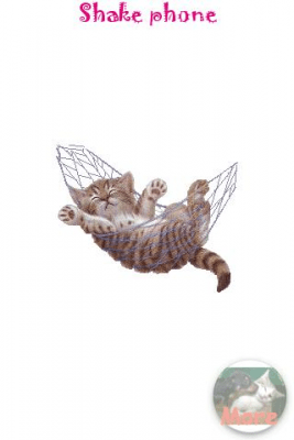 Screenshot of the application Sleeping Cat - #2