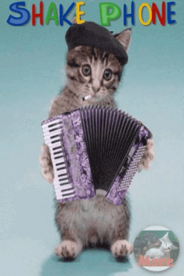 Screenshot of the application Silly Cat - #2