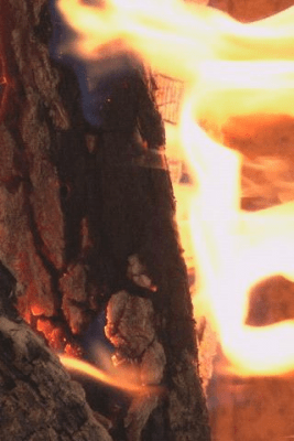Screenshot of the application Fireplace Closeup - #2