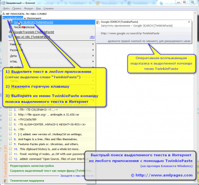 Screenshot of the application TwinkiePaste - #2
