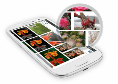 Screenshot of the application PicApport - #2