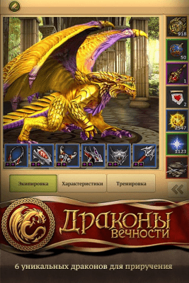 Screenshot of the application Dragons of Eternity - #13