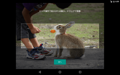 Screenshot of the application Google Japanese Input - #22