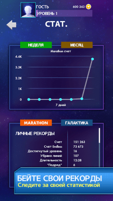 Screenshot of the application TETRIS 2011 - #2