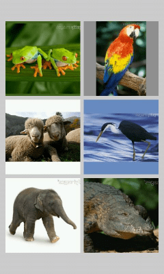 Screenshot of the application Baby Puzzle - #2