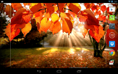 Screenshot of the application Autumn Light - #2