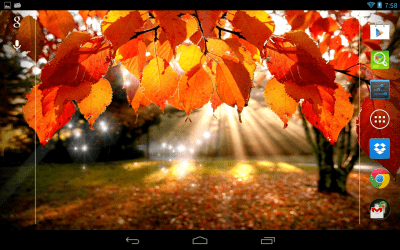 Screenshot of the application Autumn Light - #4