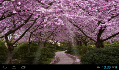 Screenshot of the application Sakura - #2