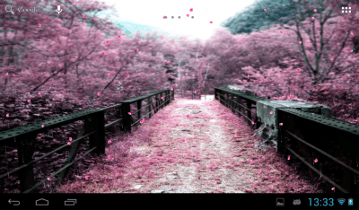 Screenshot of the application Sakura - #10