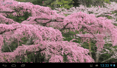 Screenshot of the application Sakura - #12
