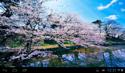 Screenshot of the application Sakura - #14