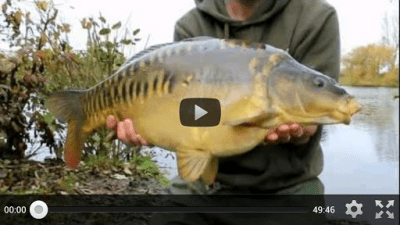 Screenshot of the application Carp Fishing - #2