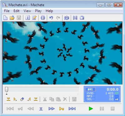 Screenshot of the application Machete - #2