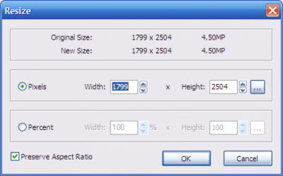 Screenshot of the application FastStone MaxView Portable - #2