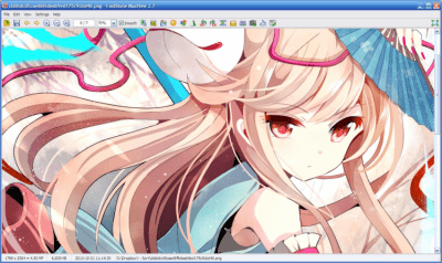 Screenshot of the application FastStone MaxView Portable - #3