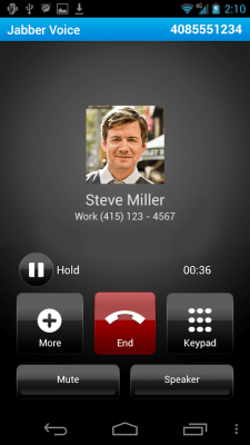 Screenshot of the application Cisco Jabber Voice - #2