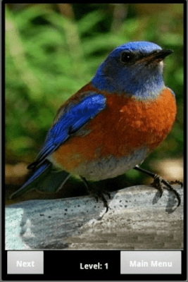 Screenshot of the application Bird Puzzle - #2