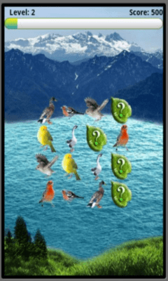 Screenshot of the application Birds Matcher - #3