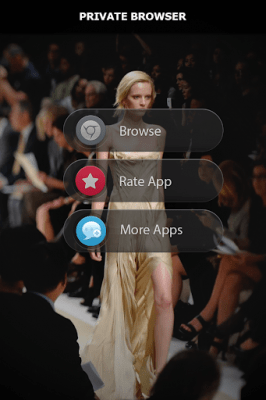 Screenshot of the application Private Browser - #2