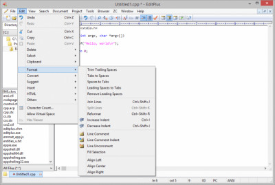 Screenshot of the application EditPlus - #2