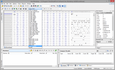 Screenshot of the application Hex Workshop - #2