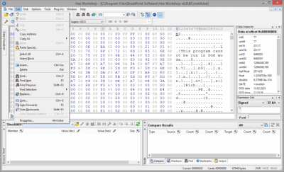 Screenshot of the application Hex Workshop - #4