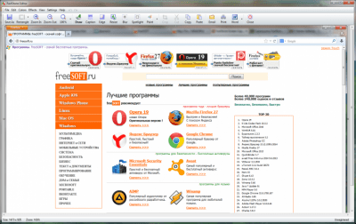 Screenshot of the application FastStone Capture Portable - #2