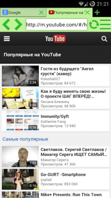 Screenshot of the application Lime 2: WEB Browser - #7