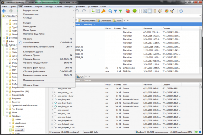 Screenshot of the application XYplorer Portable - #2