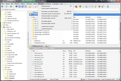 Screenshot of the application XYplorer Portable - #5