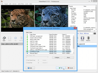 Screenshot of the application VideoMach - #2