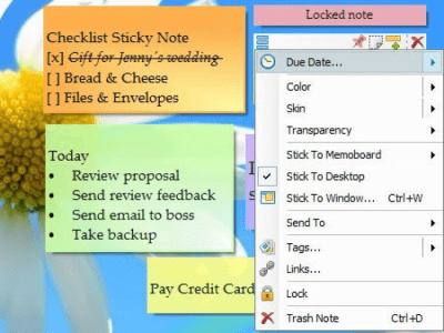 Screenshot of the application Notezilla Portable - #3