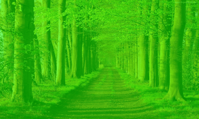 Screenshot of the application Free night vision - #6