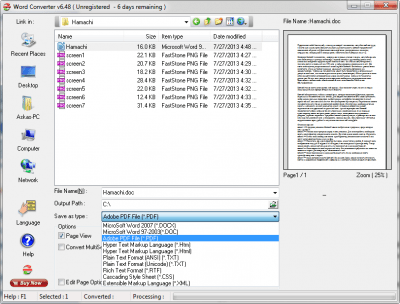 Screenshot of the application Word Converter - #2