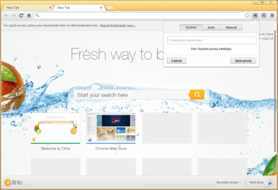 Screenshot of the application Citrio - #2